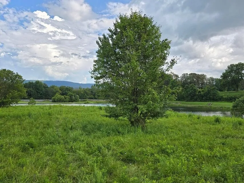 1 Spring Lake Drive Dunlap, TN 37327