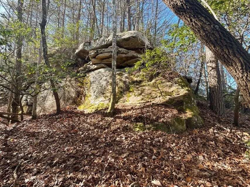 5 Deerhead Road Dunlap, TN 37327