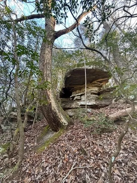 5 Deerhead Road Dunlap, TN 37327