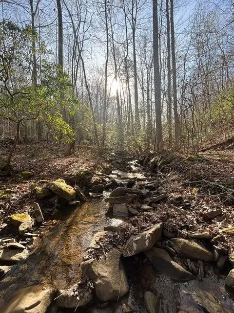 5 Deerhead Road Dunlap, TN 37327