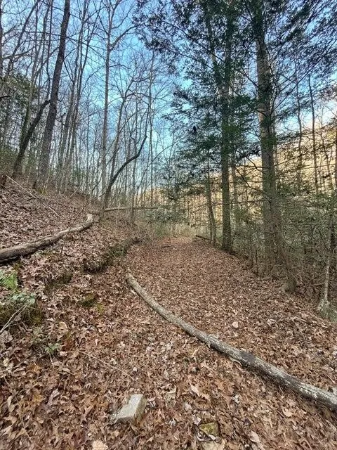 5 Deerhead Road Dunlap, TN 37327