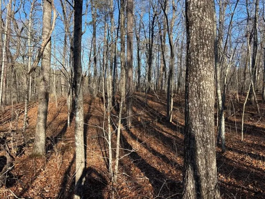 5 Deerhead Road Dunlap, TN 37327