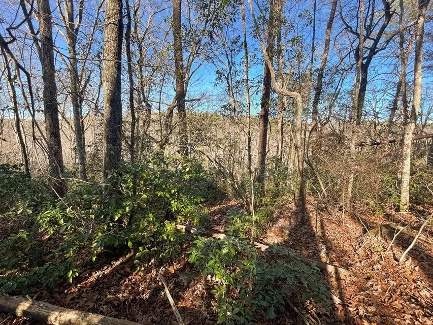 5 Deerhead Road Dunlap, TN 37327