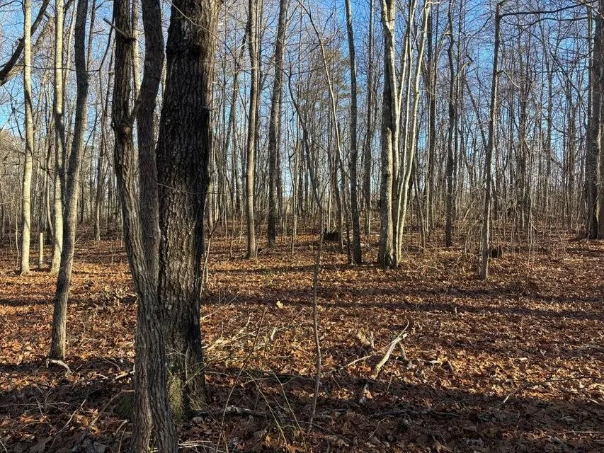 5 Deerhead Road Dunlap, TN 37327