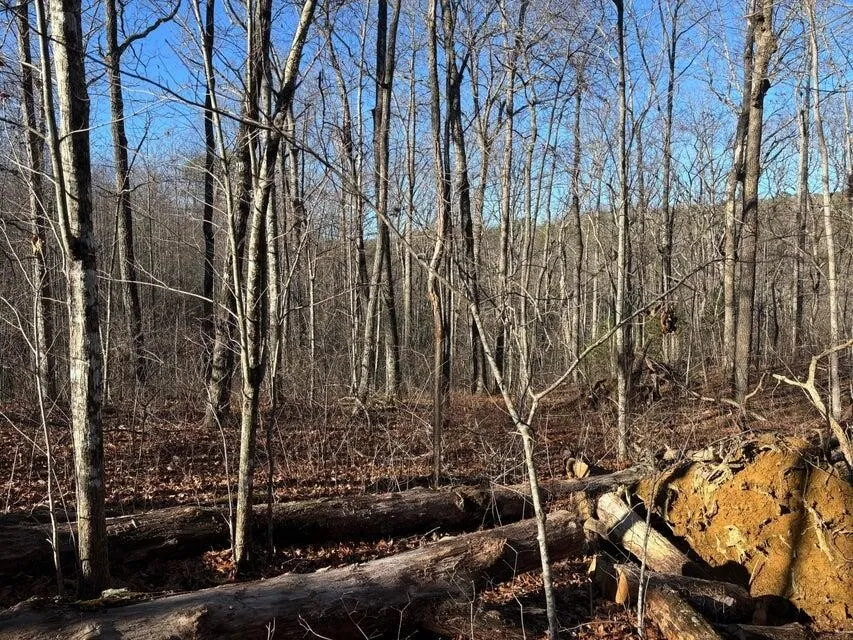 5 Deerhead Road Dunlap, TN 37327