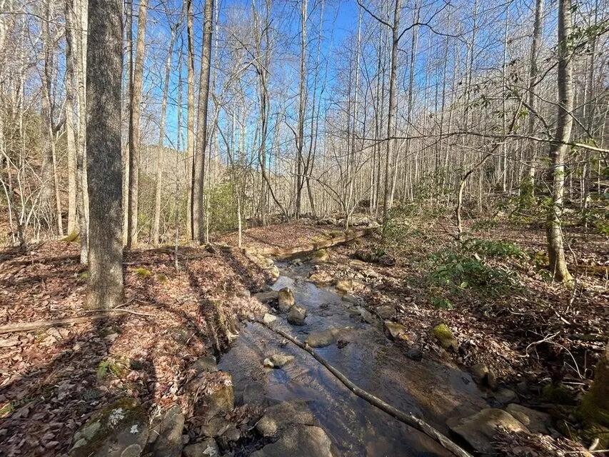 5 Deerhead Road Dunlap, TN 37327