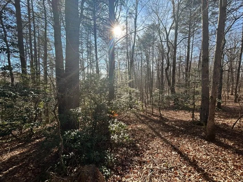 5 Deerhead Road Dunlap, TN 37327