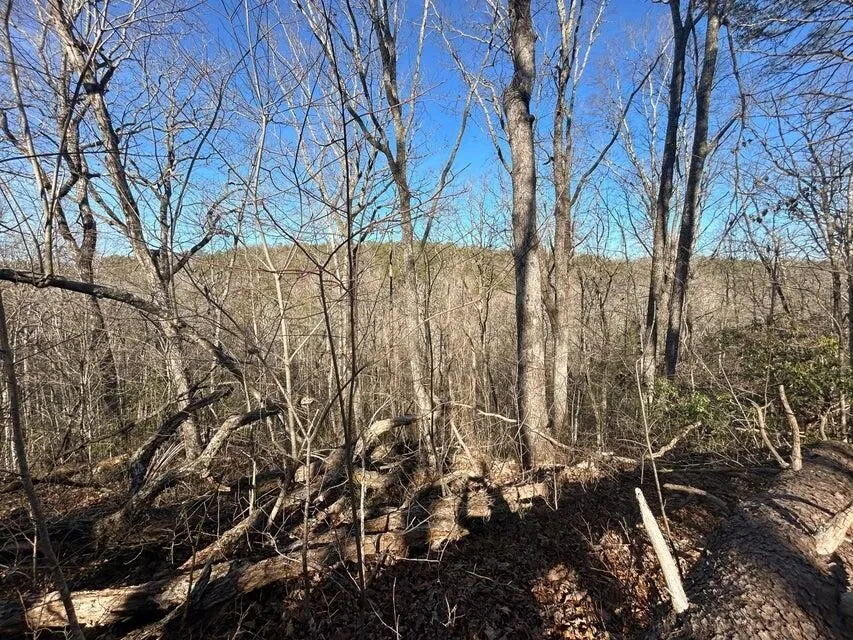 5 Deerhead Road Dunlap, TN 37327