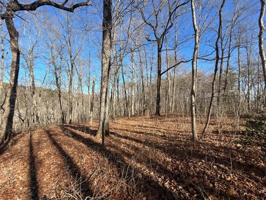 5 Deerhead Road Dunlap, TN 37327
