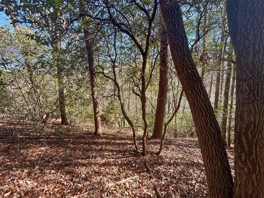 5 Deerhead Road Dunlap, TN 37327
