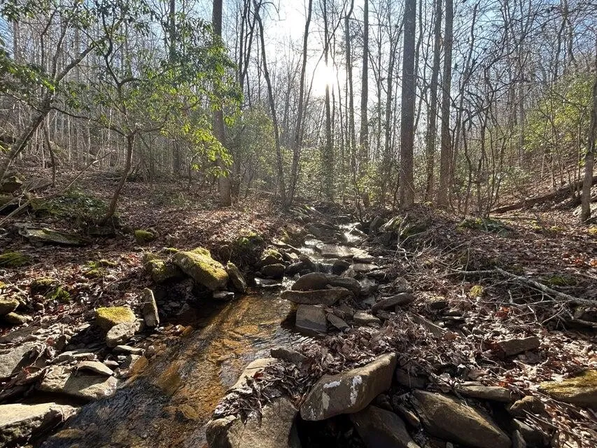 5 Deerhead Road Dunlap, TN 37327
