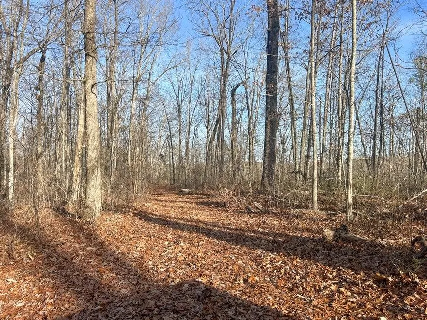 5 Deerhead Road Dunlap, TN 37327