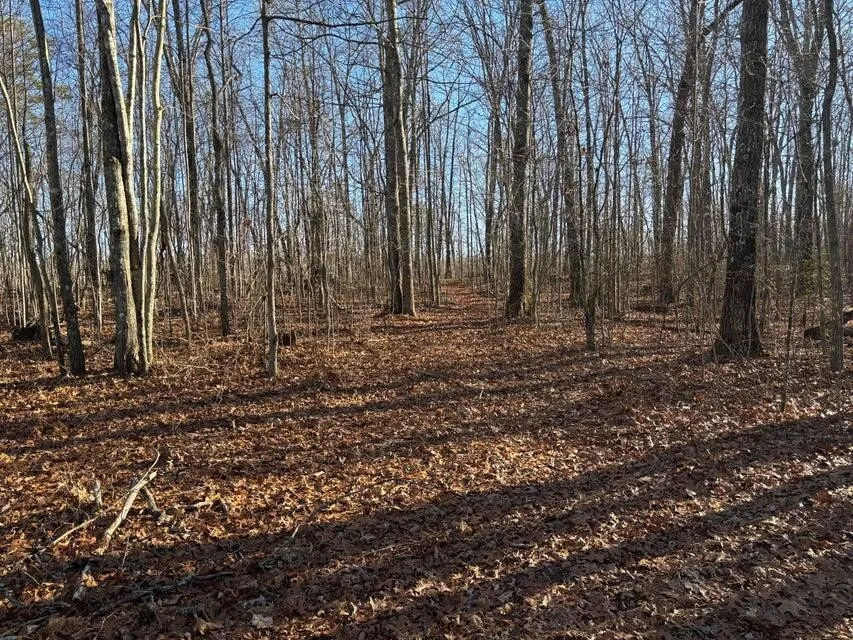 5 Deerhead Road Dunlap, TN 37327