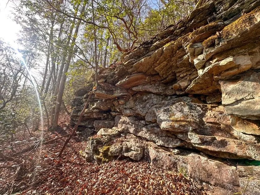 5 Deerhead Road Dunlap, TN 37327