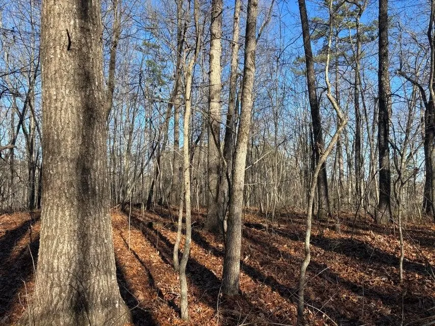 5 Deerhead Road Dunlap, TN 37327