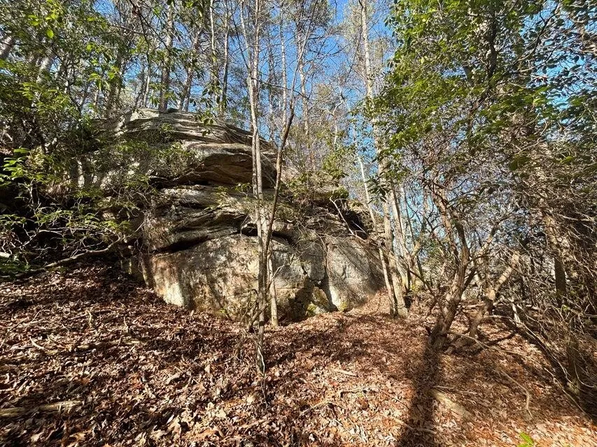 5 Deerhead Road Dunlap, TN 37327
