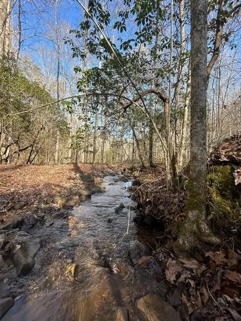 5 Deerhead Road Dunlap, TN 37327
