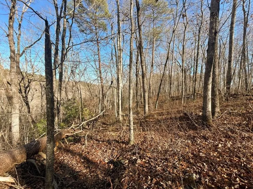 5 Deerhead Road Dunlap, TN 37327