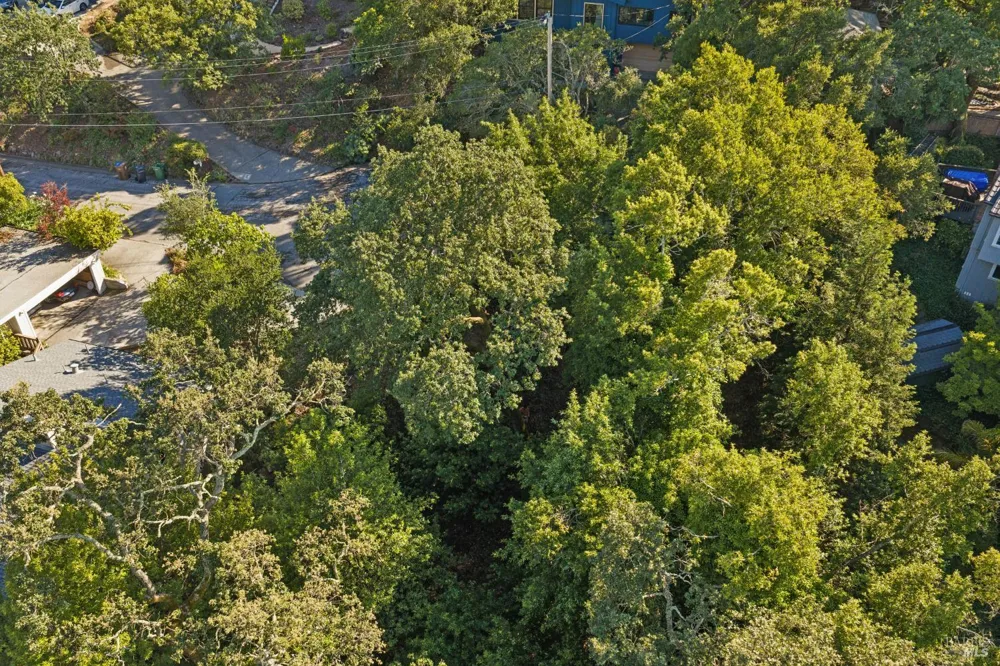 Quisisana Drive Kentfield, CA 94904