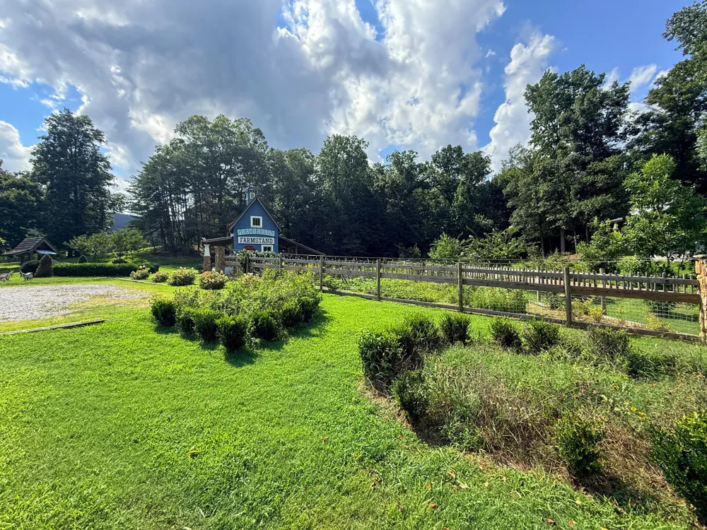 Porchlight Dr Chickamauga, GA 30707