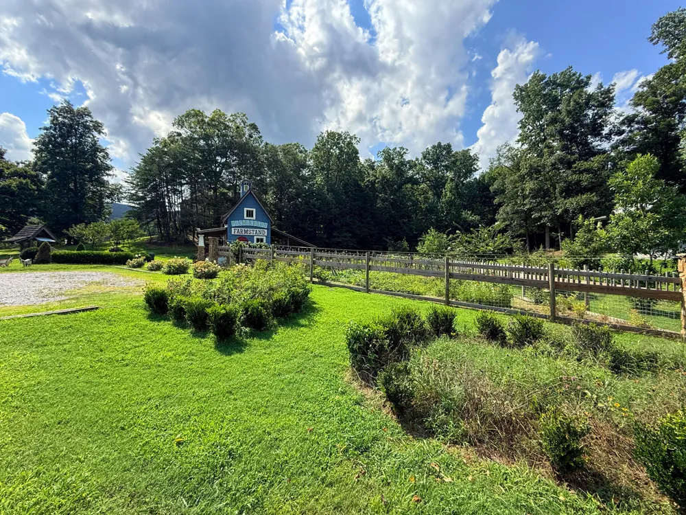 Porchlight Dr Chickamauga, GA 30707