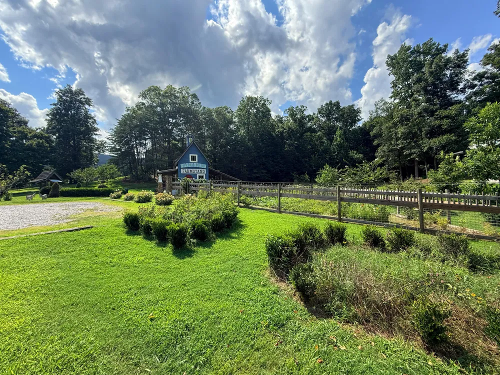 Porchlight Dr Chickamauga, GA 30707