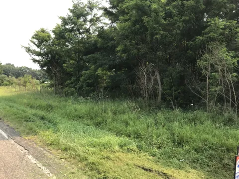 Buckhorn Road