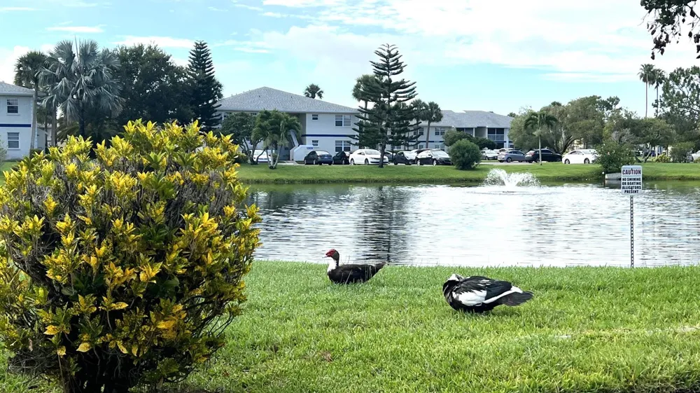 1532 SE Royal Green Cir O-201 Port St. Lucie, FL 34952