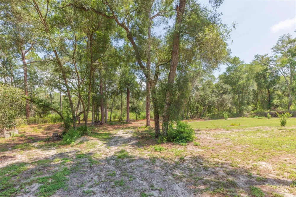 34299 BELT DRIVE Dade City, FL 33523
