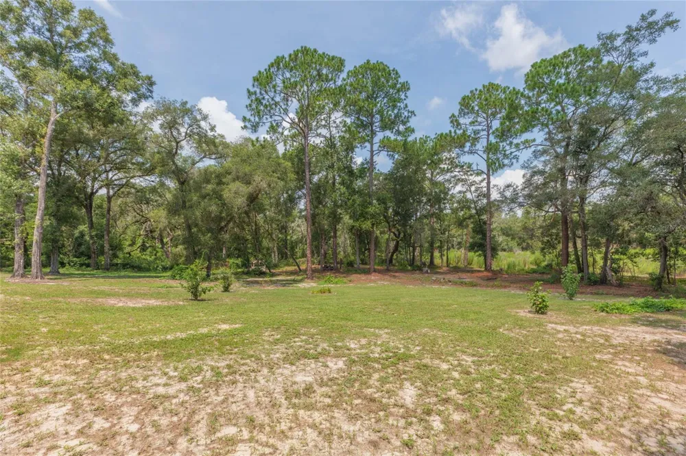 34299 BELT DRIVE Dade City, FL 33523