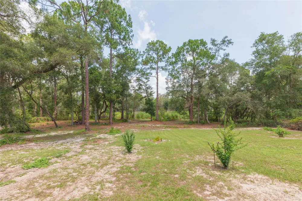 34299 BELT DRIVE Dade City, FL 33523