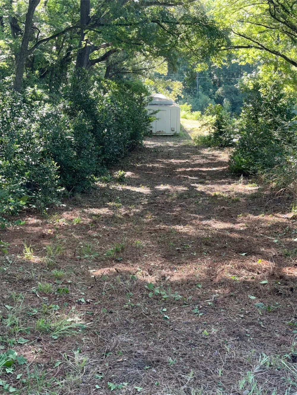 10490 Browning Street Brownsboro, TX 75756