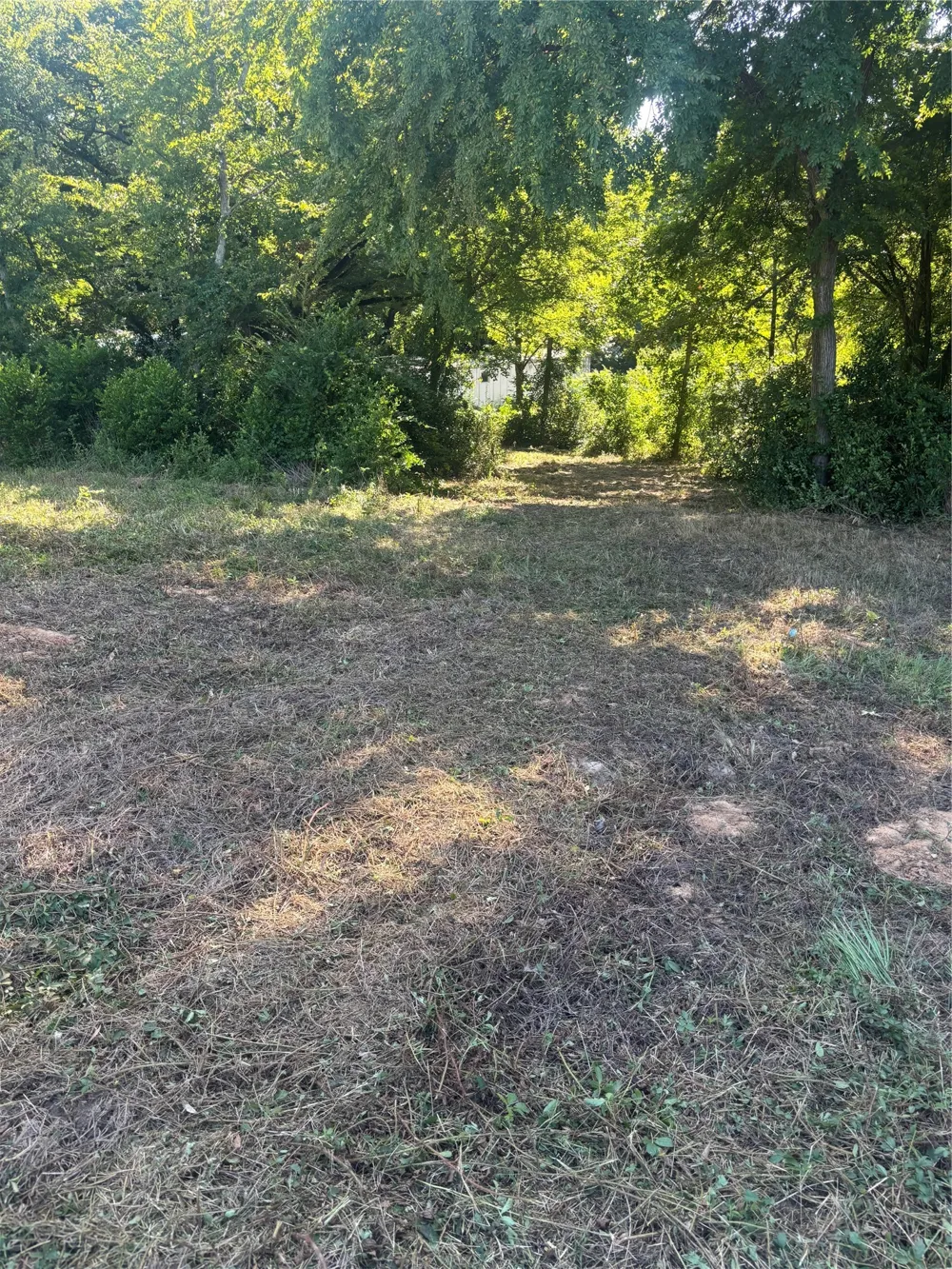 10490 Browning Street Brownsboro, TX 75756