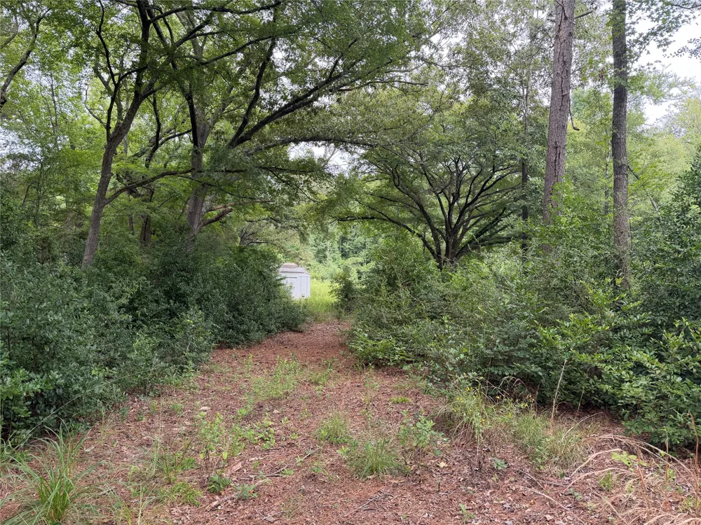 10490 Browning Street Brownsboro, TX 75756
