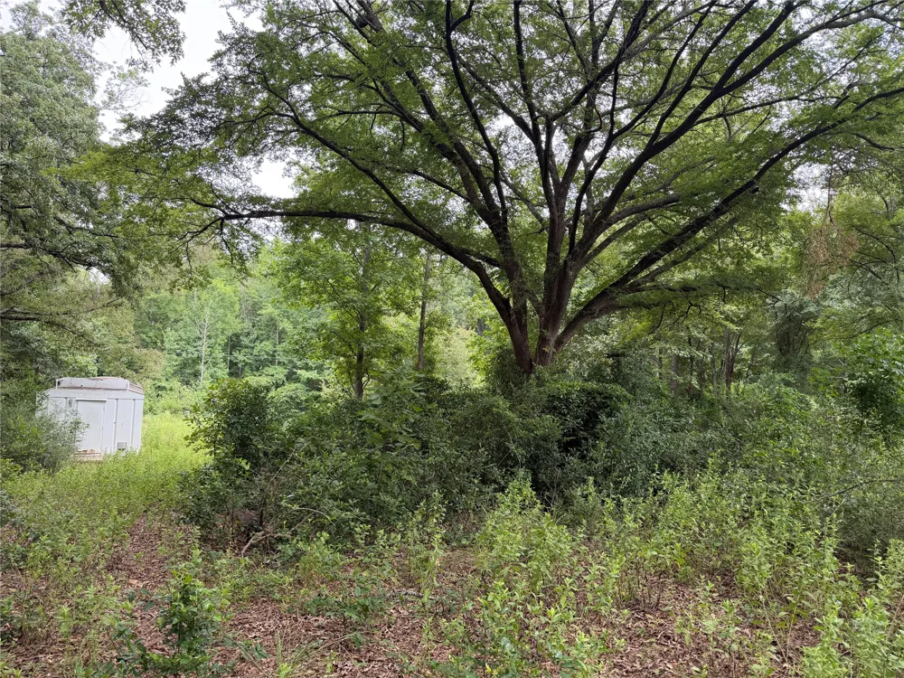 10490 Browning Street Brownsboro, TX 75756