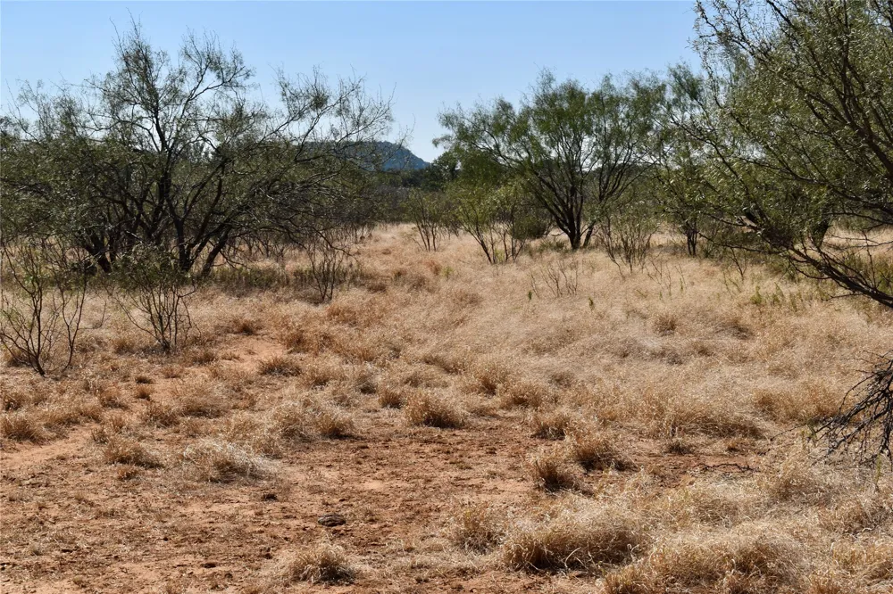 19319 Ranch Road 1871 Mason, TX 76856