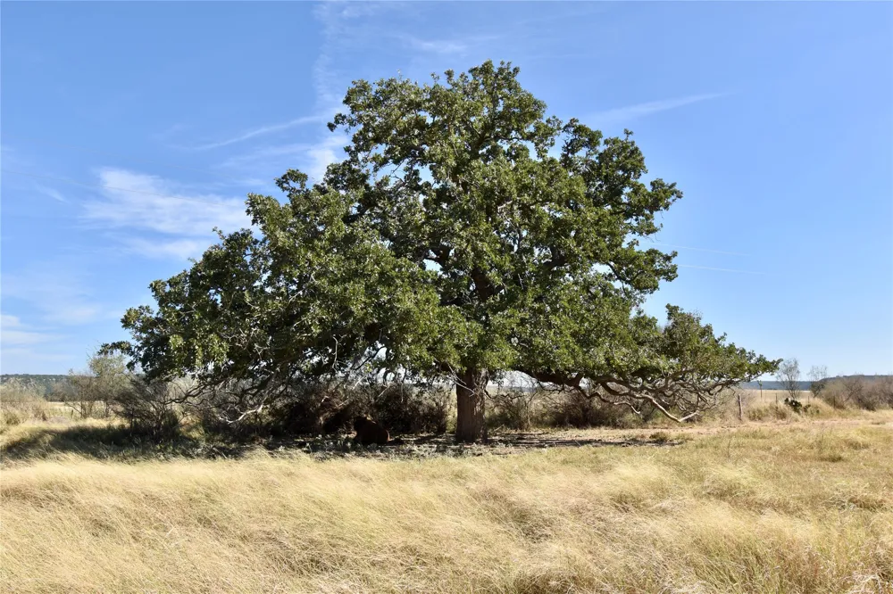19319 Ranch Road 1871 Mason, TX 76856