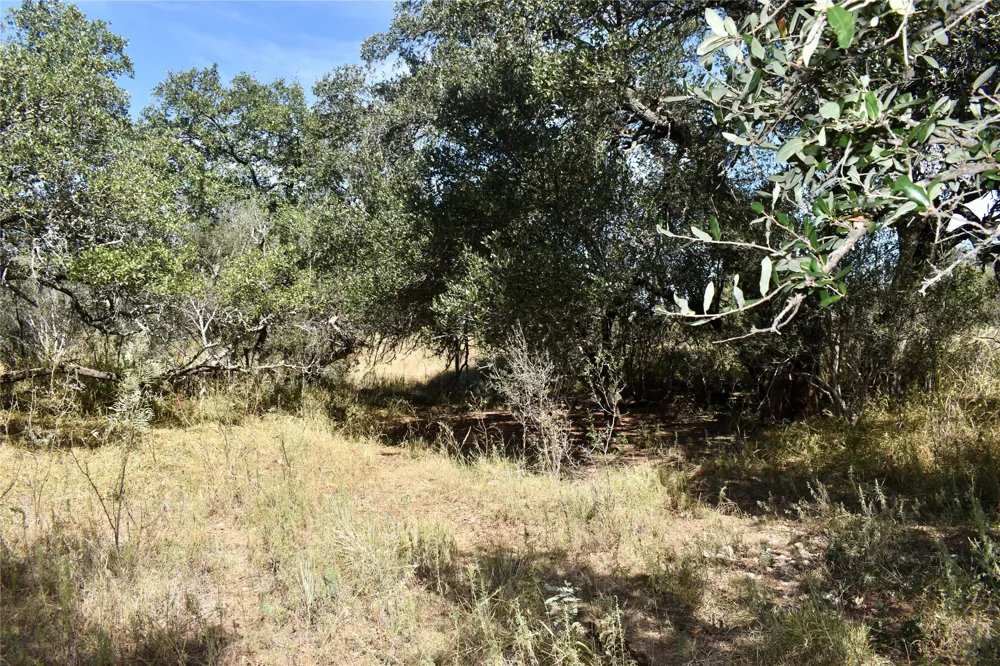 19319 Ranch Road 1871 Mason, TX 76856