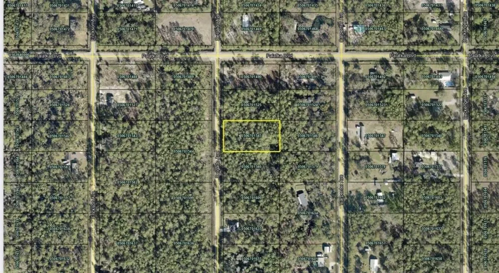 10620 DELGADO AVENUE Hastings, FL 32145
