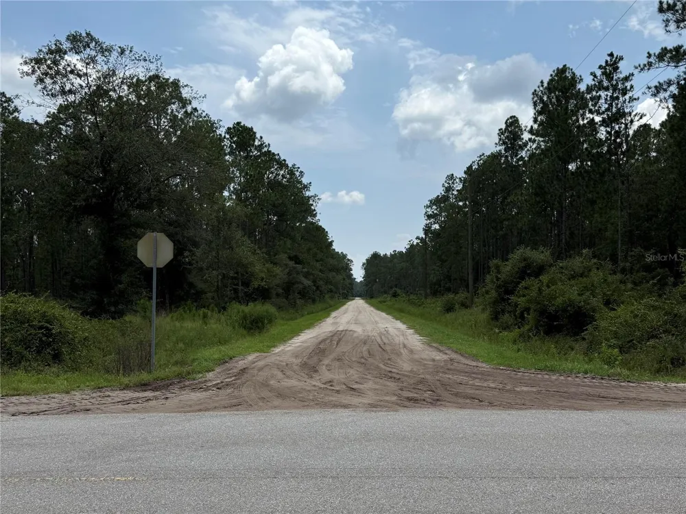 10620 DELGADO AVENUE Hastings, FL 32145