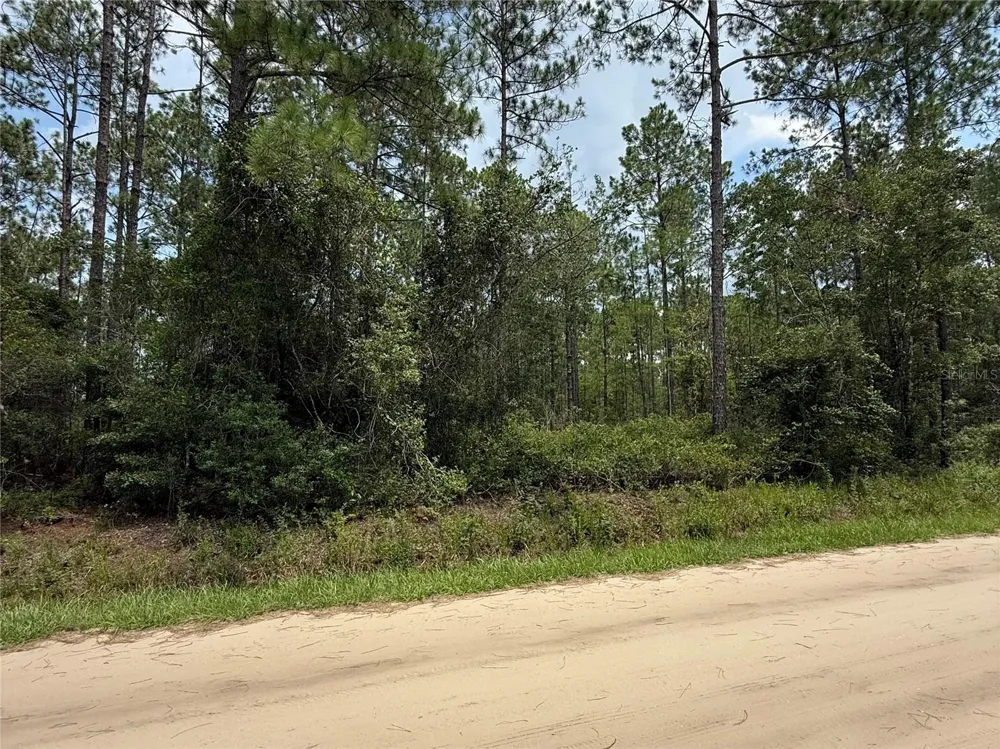 10620 DELGADO AVENUE Hastings, FL 32145