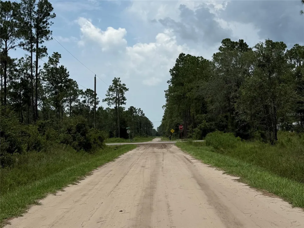 10620 DELGADO AVENUE Hastings, FL 32145
