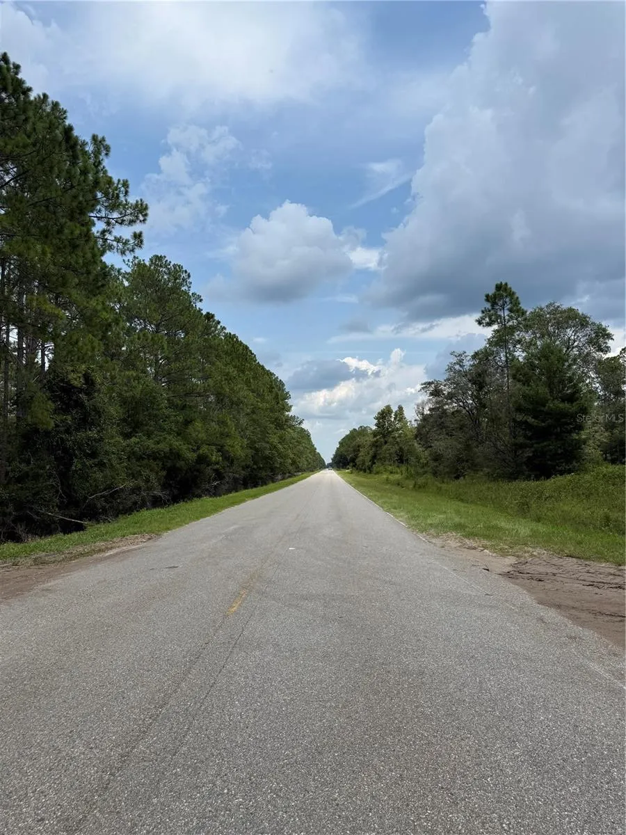 10620 DELGADO AVENUE Hastings, FL 32145