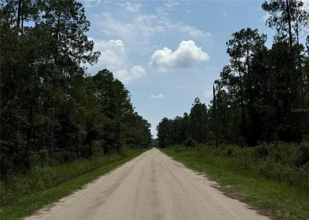 10620 DELGADO AVENUE Hastings, FL 32145