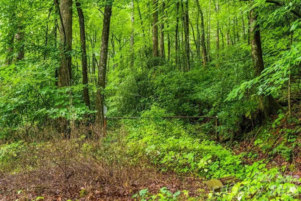 TBD Hemlock Circle #132 Black Mountain, NC 28711