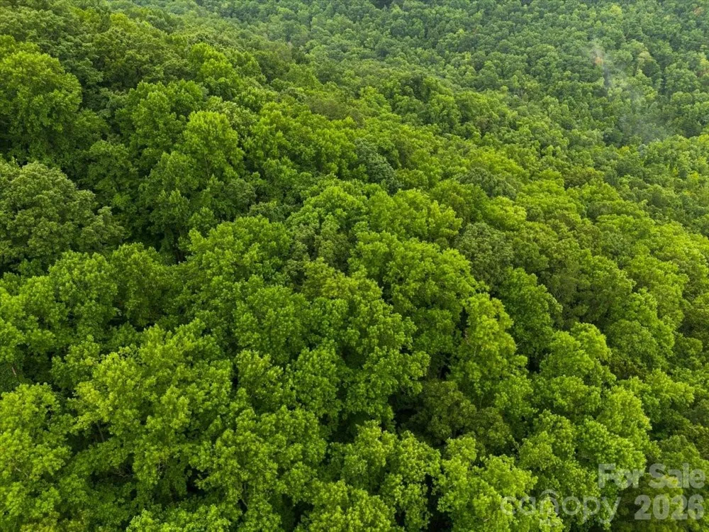TBD Hemlock Circle #132 Black Mountain, NC 28711