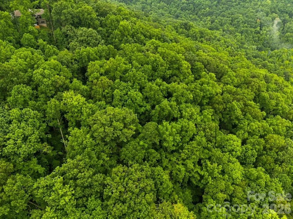 TBD Hemlock Circle #132 Black Mountain, NC 28711