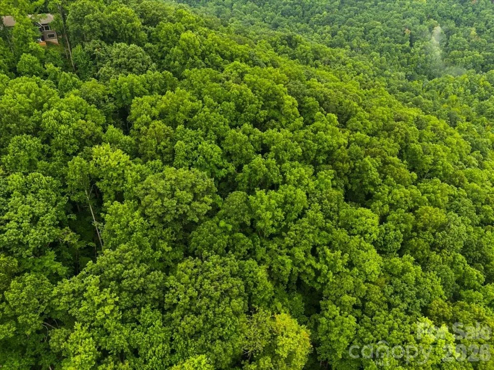TBD Hemlock Circle #132 Black Mountain, NC 28711