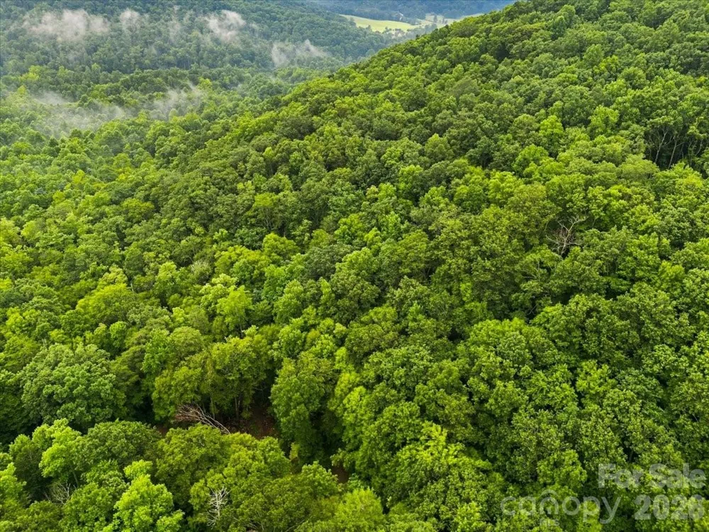 TBD Hemlock Circle #132 Black Mountain, NC 28711