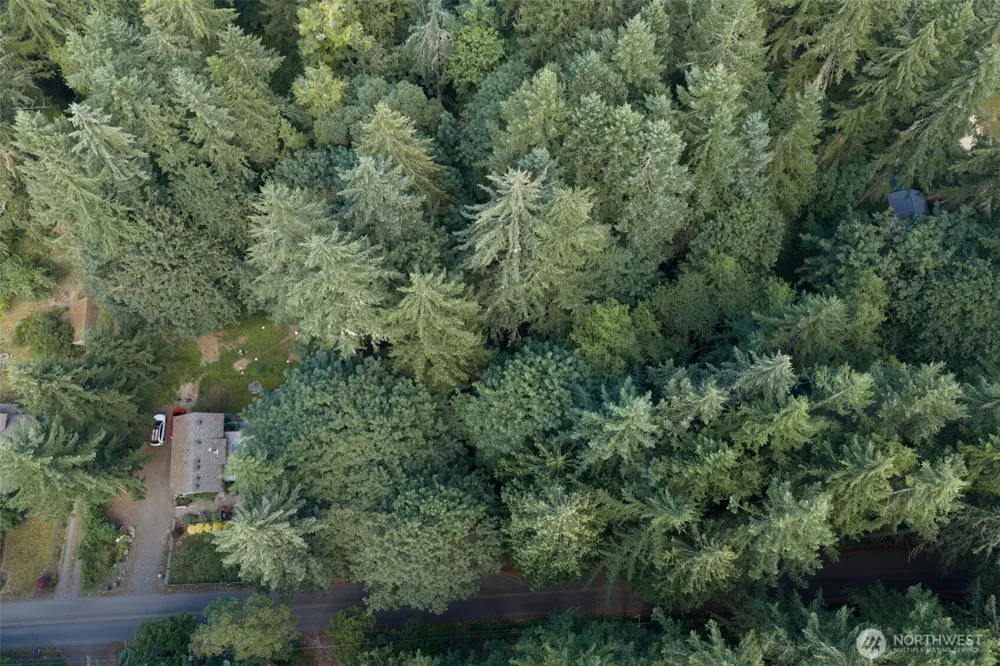 5320 New Sweden Avenue NE Bainbridge Island, WA 98110